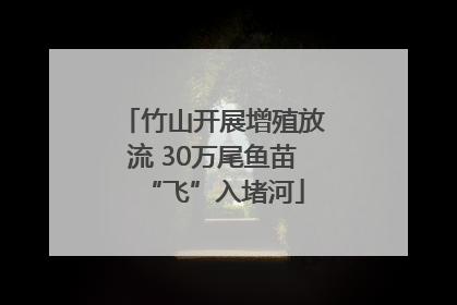 竹山开展增殖放流 30万尾鱼苗“飞”入堵河
