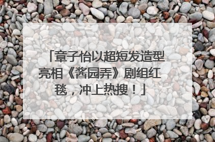 章子怡以超短发造型亮相《酱园弄》剧组红毯，冲上热搜！