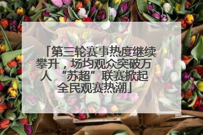 第三轮赛事热度继续攀升，场均观众突破万人 “苏超”联赛掀起全民观赛热潮