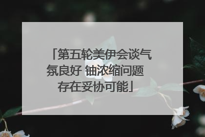 第五轮美伊会谈气氛良好 铀浓缩问题存在妥协可能