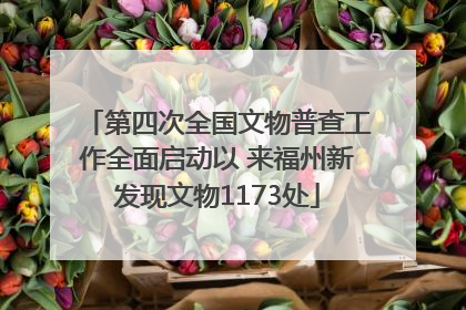 第四次全国文物普查工作全面启动以 来福州新发现文物1173处