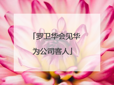 罗卫华会见华为公司客人
