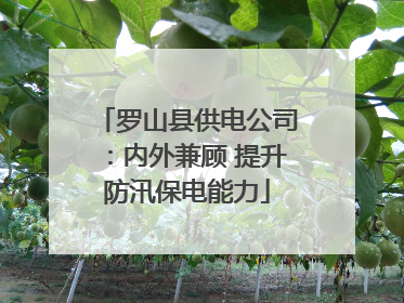 罗山县供电公司：内外兼顾 提升防汛保电能力