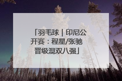 羽毛球｜印尼公开赛：程星/张驰晋级混双八强