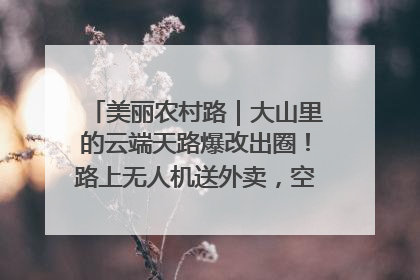 美丽农村路｜大山里的云端天路爆改出圈！路上无人机送外卖，空心村变网红村