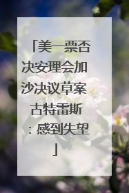 美一票否决安理会加沙决议草案 古特雷斯：感到失望