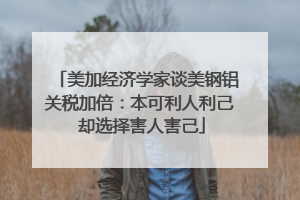 美加经济学家谈美钢铝关税加倍：本可利人利己 却选择害人害己
