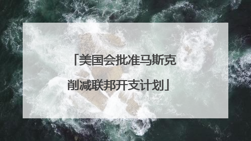 美国会批准马斯克削减联邦开支计划
