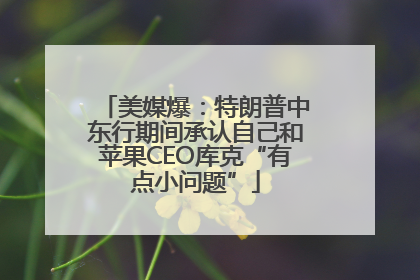 美媒爆：特朗普中东行期间承认自己和苹果CEO库克“有点小问题”