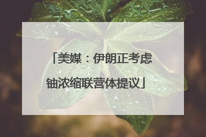美媒：伊朗正考虑铀浓缩联营体提议