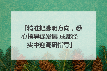 精准把脉明方向，悉心指导促发展 成都经实中迎调研指导