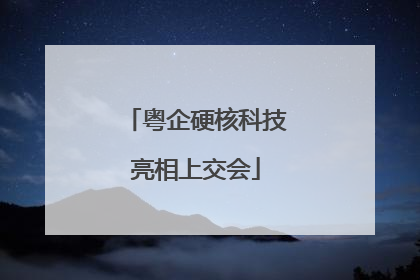 粤企硬核科技亮相上交会