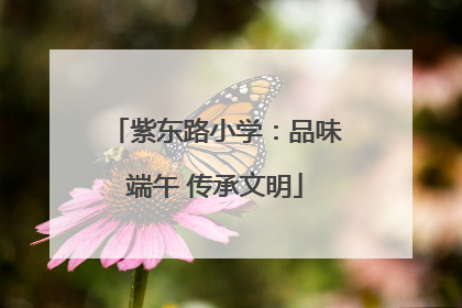 紫东路小学：品味端午 传承文明