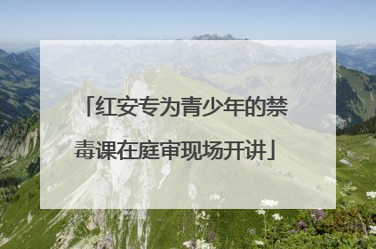 红安专为青少年的禁毒课在庭审现场开讲