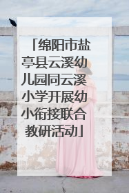 绵阳市盐亭县云溪幼儿园同云溪小学开展幼小衔接联合教研活动