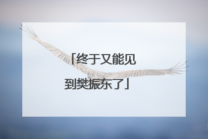 终于又能见到樊振东了