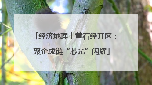 经济地理丨黄石经开区：聚企成链“芯光”闪耀