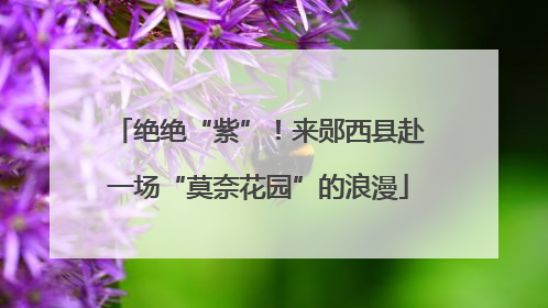 绝绝“紫”！来郧西县赴一场“莫奈花园”的浪漫