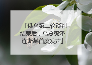 俄乌第二轮谈判结束后，乌总统泽连斯基首度发声