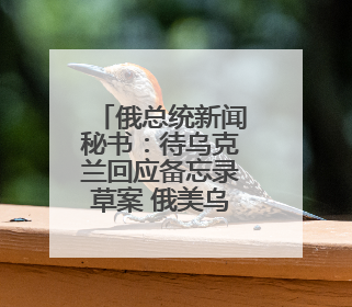 俄总统新闻秘书：待乌克兰回应备忘录草案 俄美乌领导人近期会晤可能性小