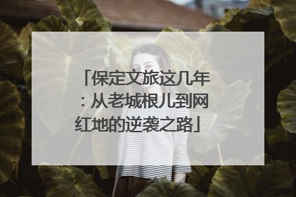 保定文旅这几年：从老城根儿到网红地的逆袭之路
