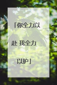 你全力以赴 我全力以护
