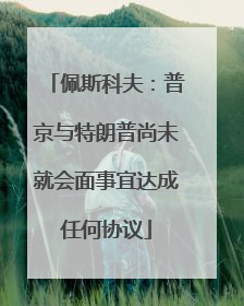 佩斯科夫：普京与特朗普尚未就会面事宜达成任何协议