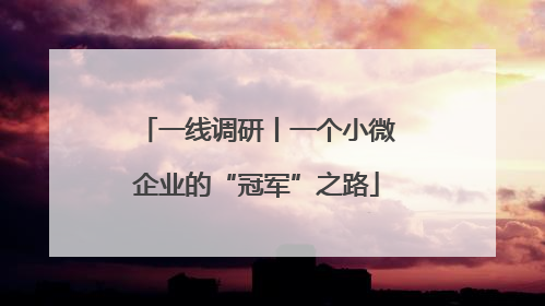 一线调研丨一个小微企业的“冠军”之路
