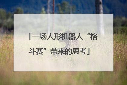一场人形机器人“格斗赛”带来的思考