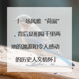 一场风雅“荷展”，背后是相隔千里两地的渊源和令人感动的历史人文情怀