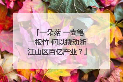 一朵菇 一支笔 一根竹 何以撬动浙江山区百亿产业？