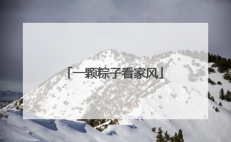一颗粽子看家风