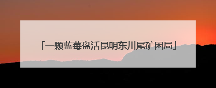 一颗蓝莓盘活昆明东川尾矿困局