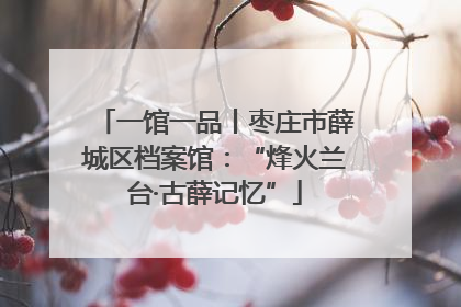 一馆一品丨枣庄市薛城区档案馆：“烽火兰台·古薛记忆”