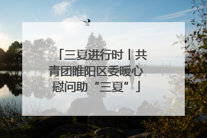 三夏进行时丨共青团睢阳区委暖心慰问助“三夏”