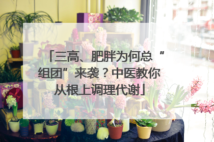 三高、肥胖为何总“组团”来袭？中医教你从根上调理代谢