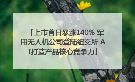 上市首日暴涨140% 军用无人机公司登陆纽交所 AI打造产品核心竞争力
