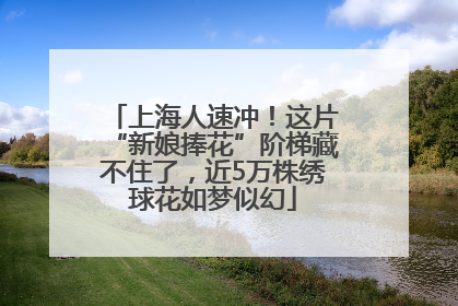 上海人速冲！这片“新娘捧花”阶梯藏不住了，近5万株绣球花如梦似幻