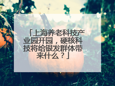 上海养老科技产业园开园，硬核科技将给银发群体带来什么？