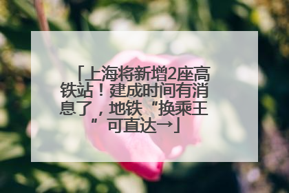 上海将新增2座高铁站！建成时间有消息了，地铁“换乘王”可直达→