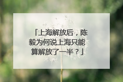 上海解放后，陈毅为何说上海只能算解放了一半？