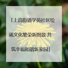上高街道学苑社区绘就文化繁荣新图景·共筑幸福和谐新家园
