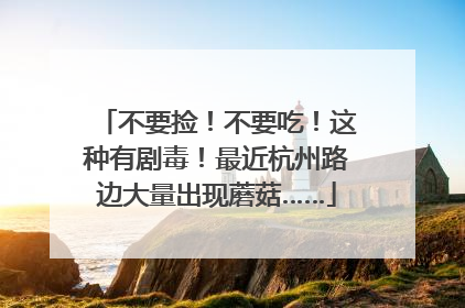 不要捡！不要吃！这种有剧毒！最近杭州路边大量出现蘑菇……