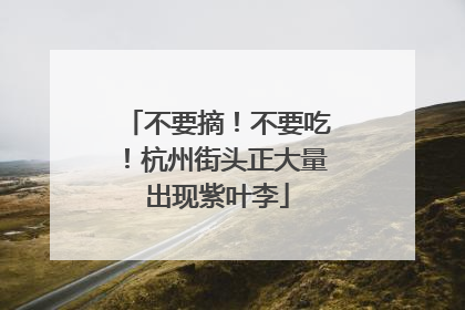 不要摘！不要吃！杭州街头正大量出现紫叶李