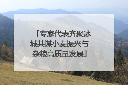 专家代表齐聚冰城共谋小麦振兴与杂粮高质量发展