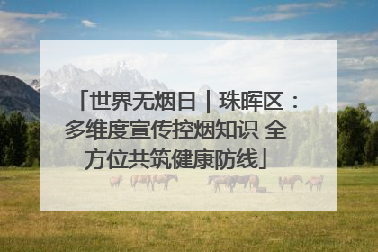 世界无烟日｜珠晖区：多维度宣传控烟知识 全方位共筑健康防线