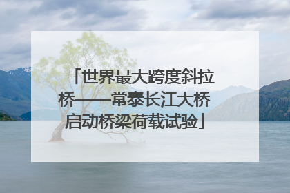 世界最大跨度斜拉桥——常泰长江大桥启动桥梁荷载试验