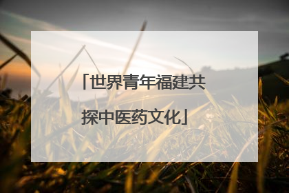 世界青年福建共探中医药文化