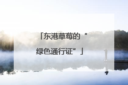 东港草莓的“绿色通行证”