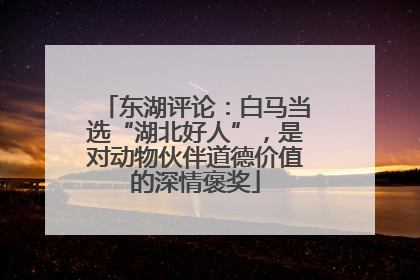 东湖评论：白马当选“湖北好人”，是对动物伙伴道德价值的深情褒奖